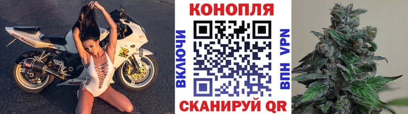купить   Домодедово  Шишки марихуана White Widow 